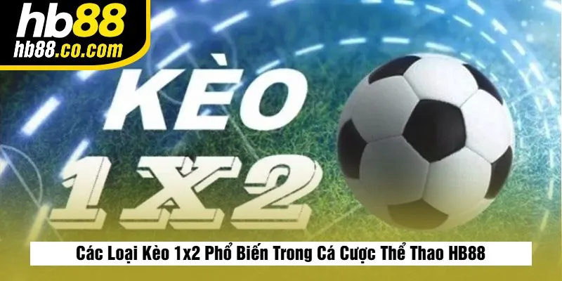 Kèo 1×2 Là Gì? Cách Chơi & Mẹo Soi Kèo 1×2 Hiệu Quả Nhất